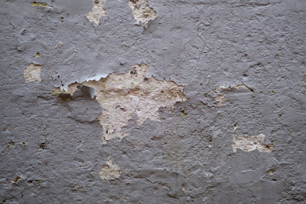 Old gray cracked paint wall background. Gray wall ruined by time, bad weather and humidity. Cracks, mold, peeling paint and plaster. Texture, material background.