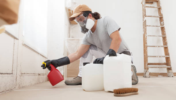 Healthcare Cleaning After Construction